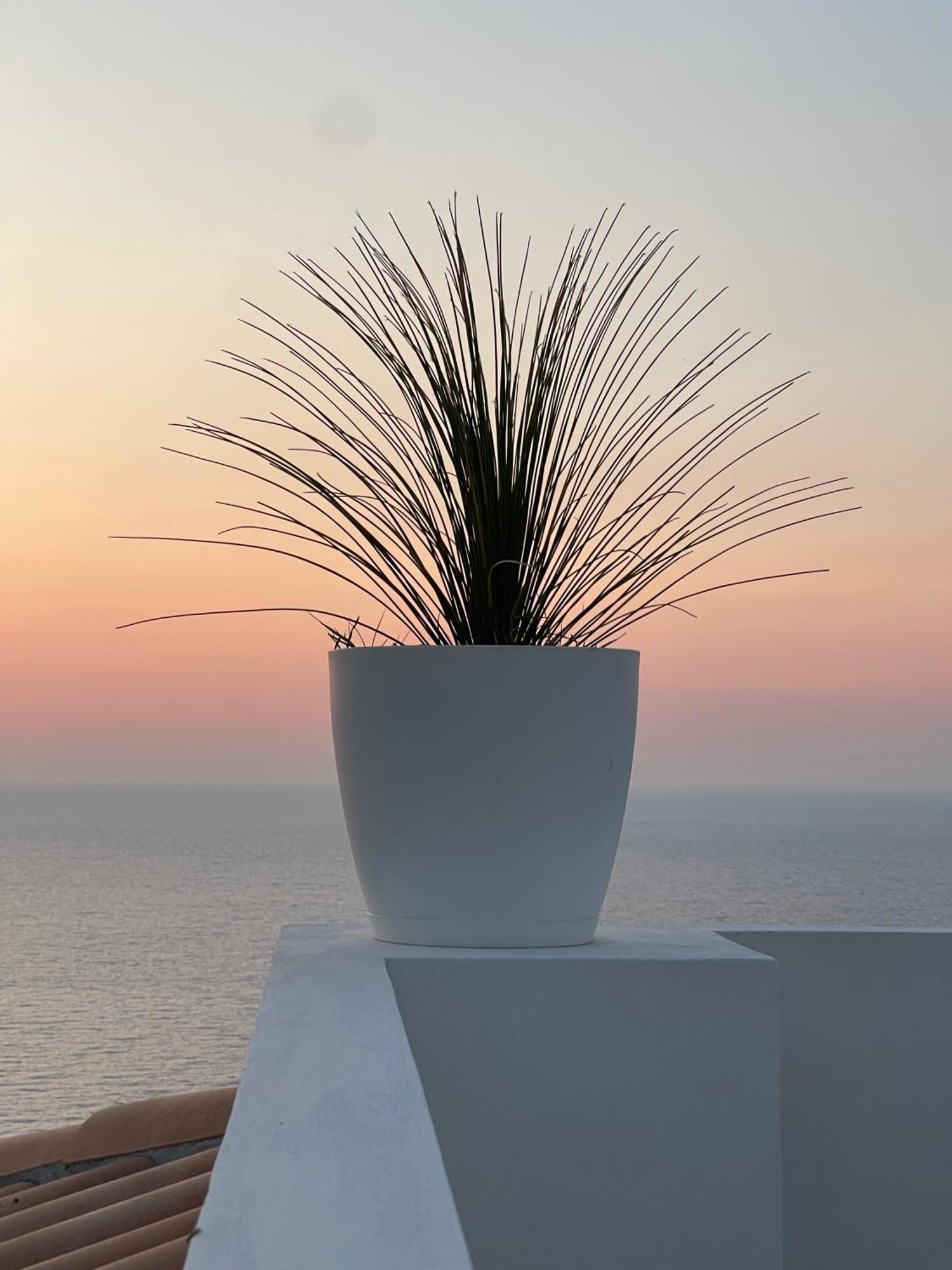Villa Sofia *Luxury Experience In Calabria Zambrone Exteriér fotografie